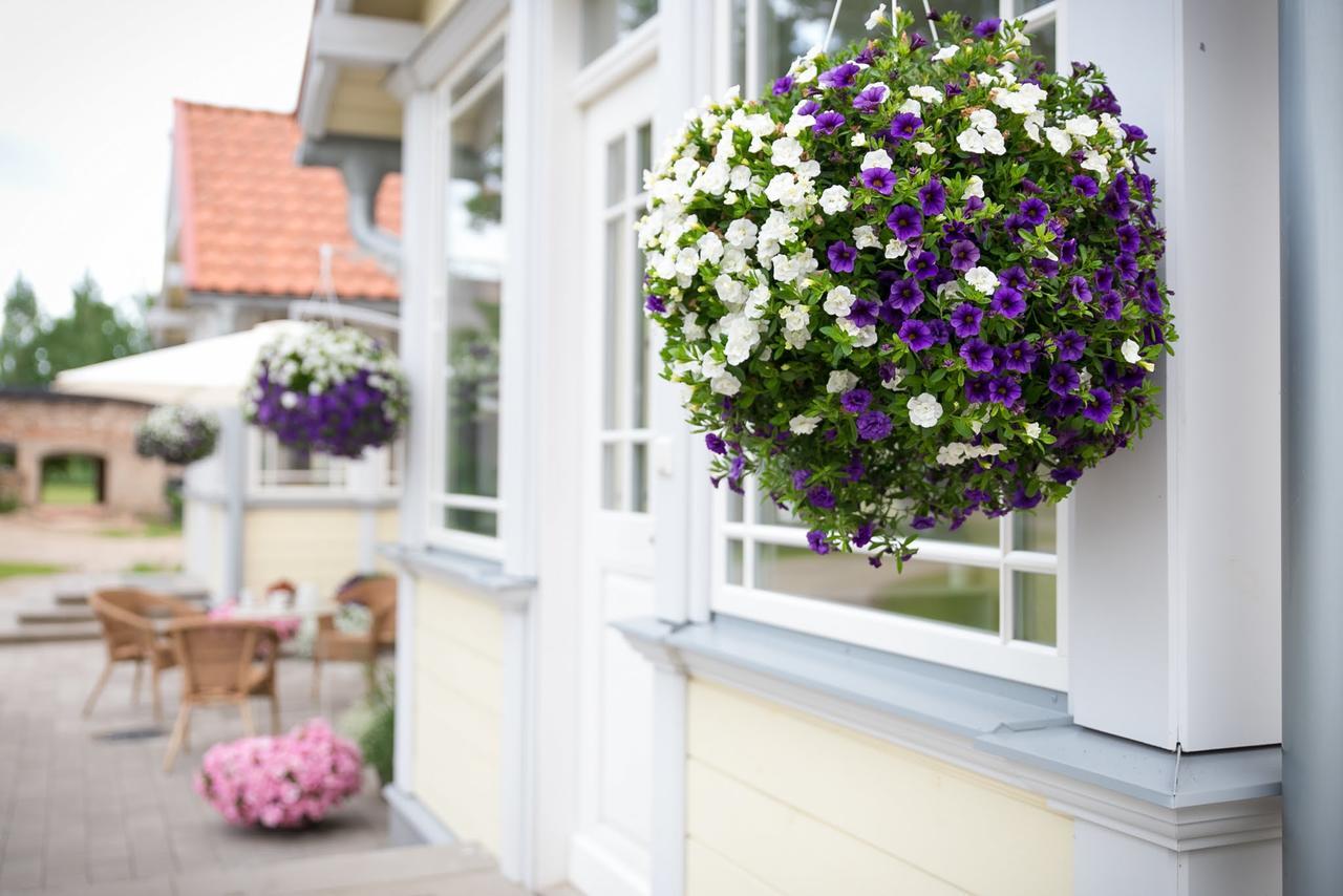 Botique&SPA Hotel Berkenes Manor Ziedkalne Eksteriør bilde